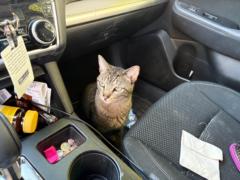 Kristin Reichardt Kirwan