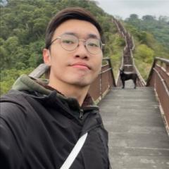 子李 木