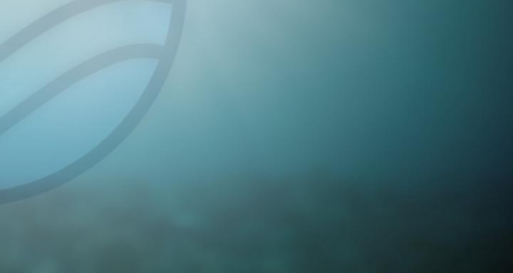 WATERTIGHT NETWORK
