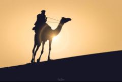 Abu Musa Nabil