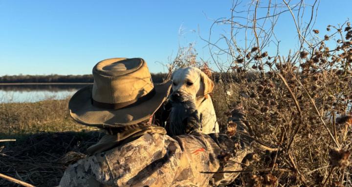 Calling All Wildlife