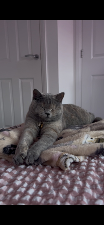 Seed starting and how it’s going