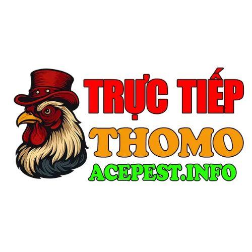 Đá gà trực tiếp Thomo hôm nay