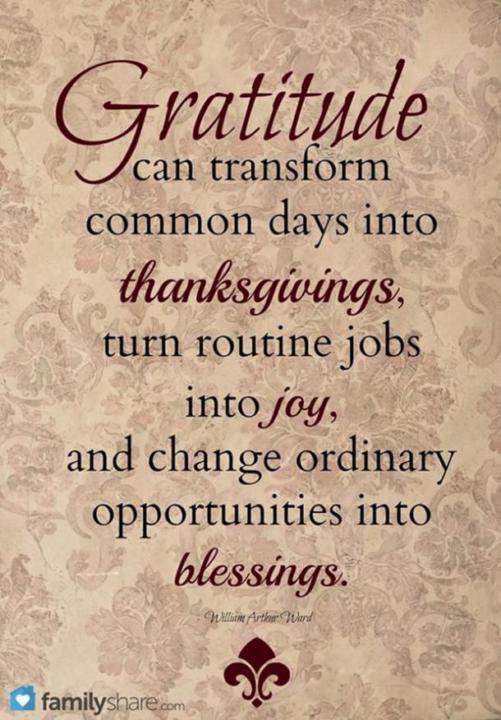 Thankful / Grateful Thursday
