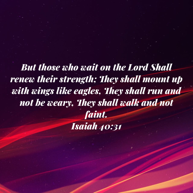 Wednesday Scripture and Prayer Requests
