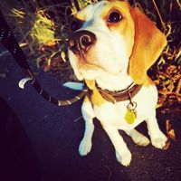 Catherine Melanie Muir