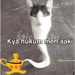 Ferolol Raana