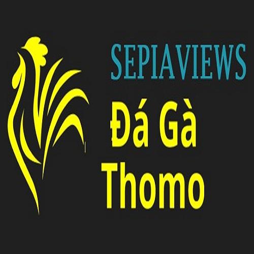 Đá Gà Trực Tiếp Thomo