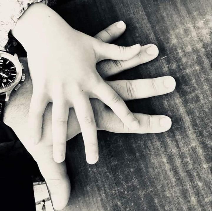 Francisco Palma Reina