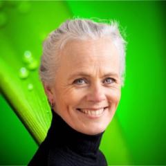 Cæcilia Nilsson