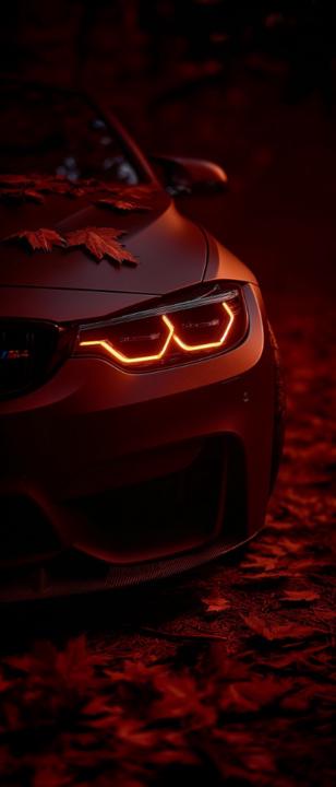 Mohammed Shoaib Ahmed