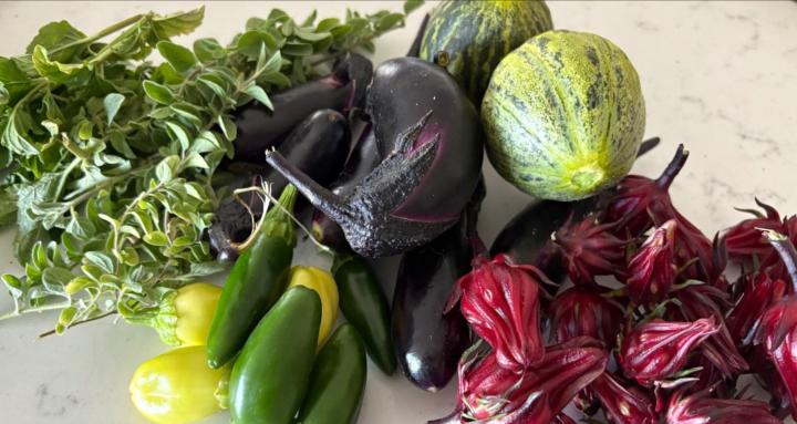 Homeschool Garden to Table