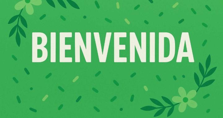 Monetizadores expertos