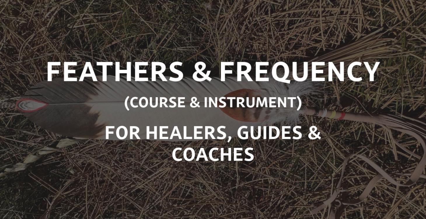 Feathers and Frequency Course & Instrument