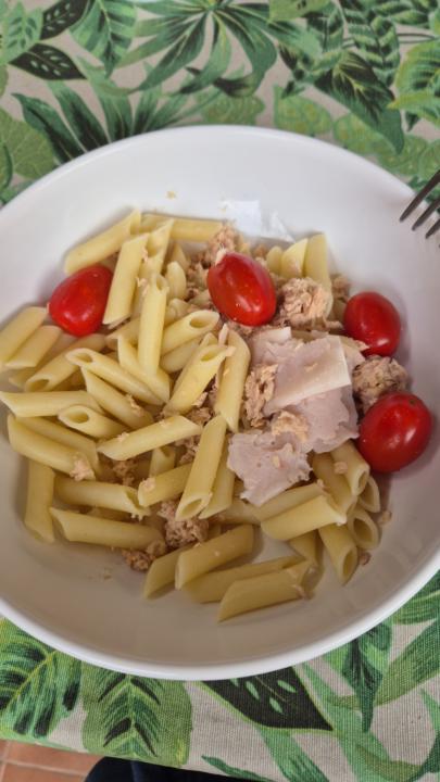 comida 22/8