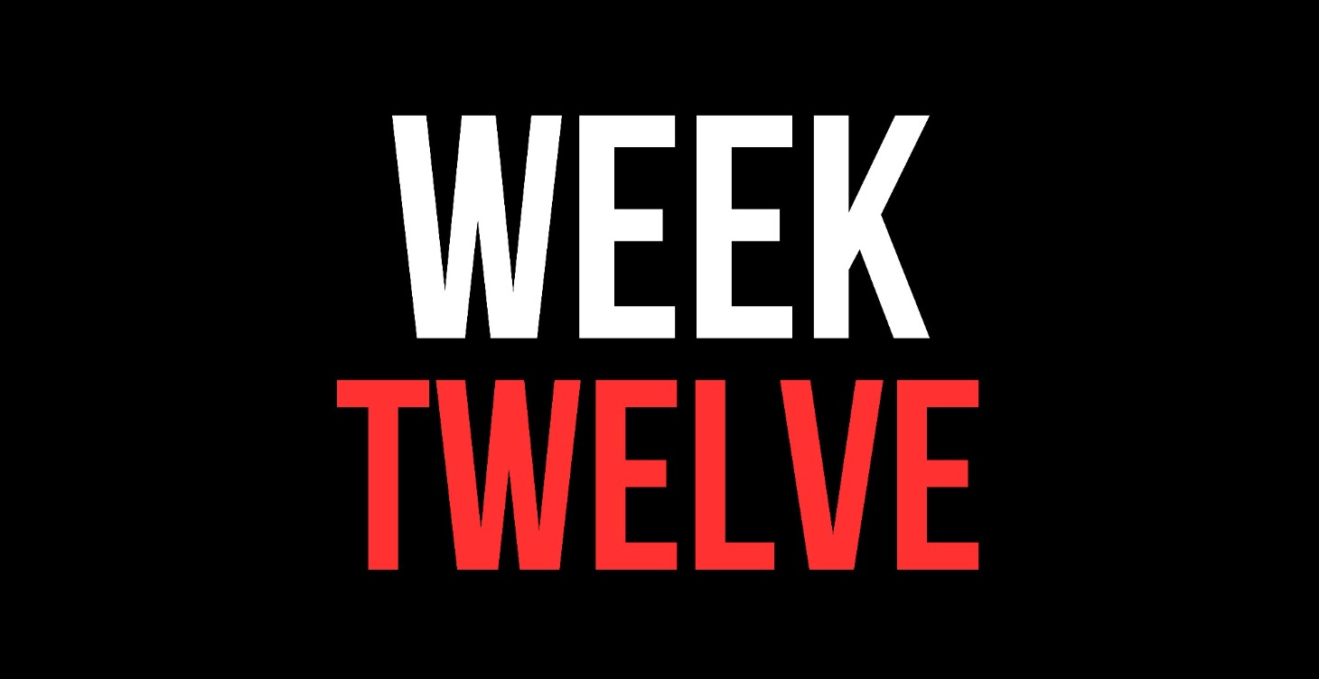 WEEK 12