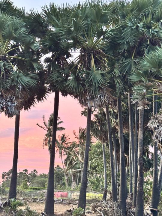 Ramakrishnan Lakshman