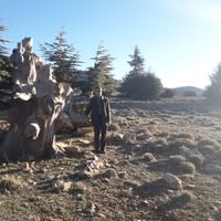 Nabil Chafaa