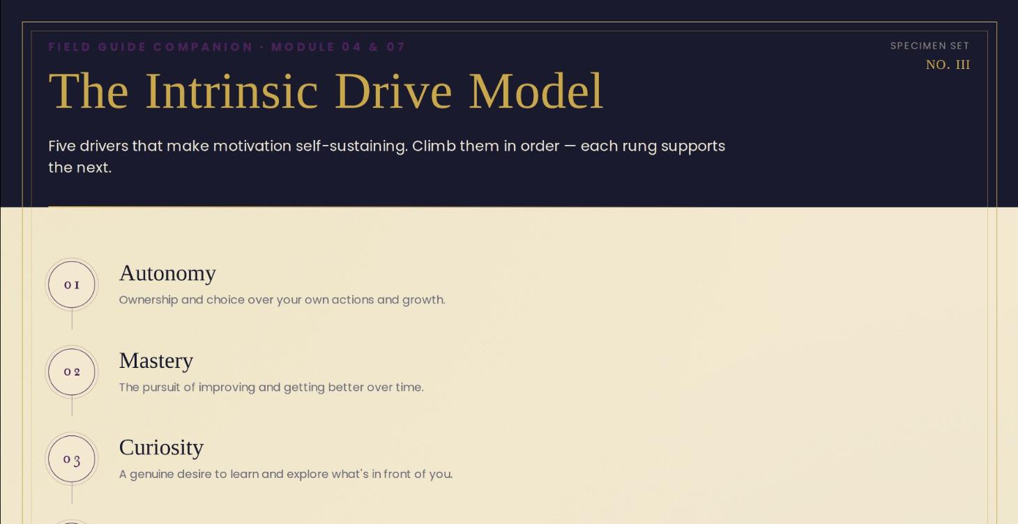10X Life Intrinsic Drive Card