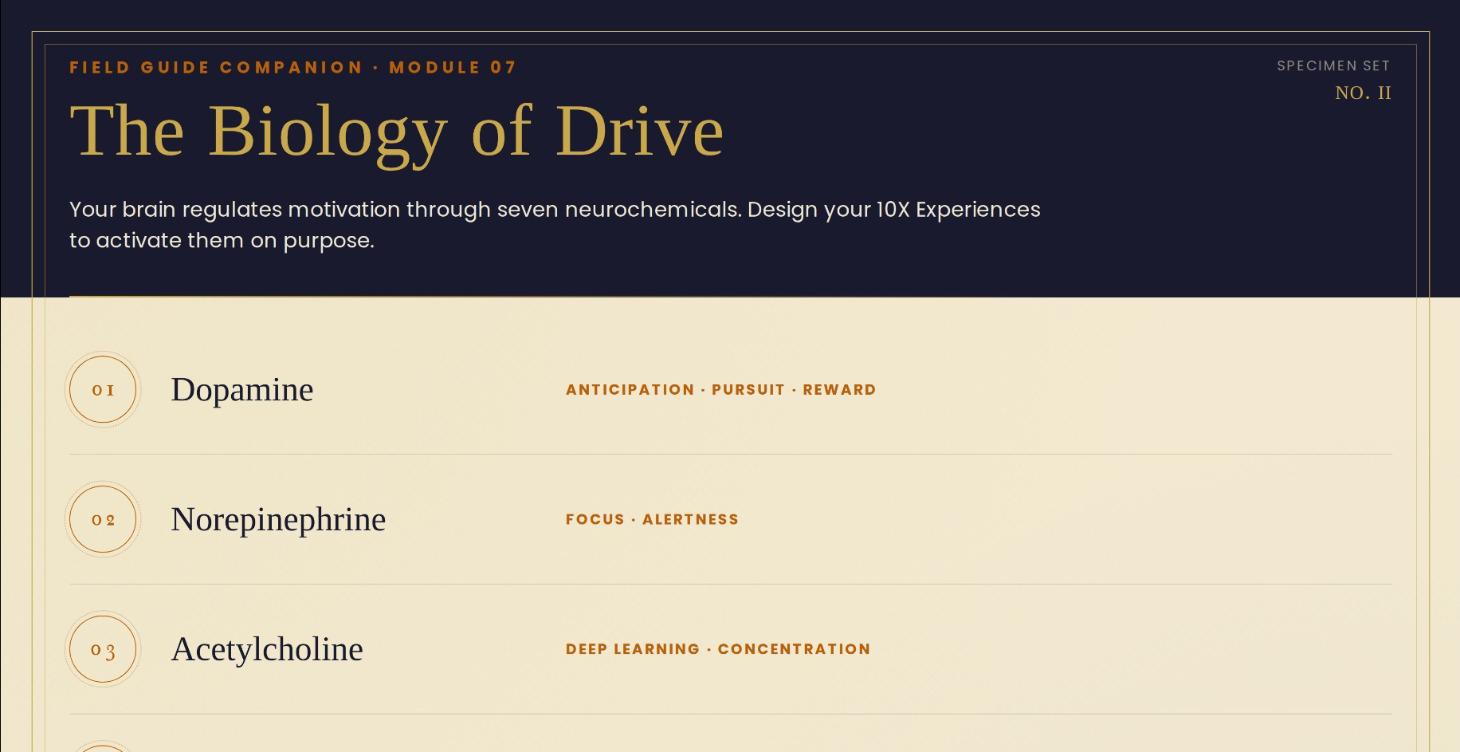 The Biology of Drive