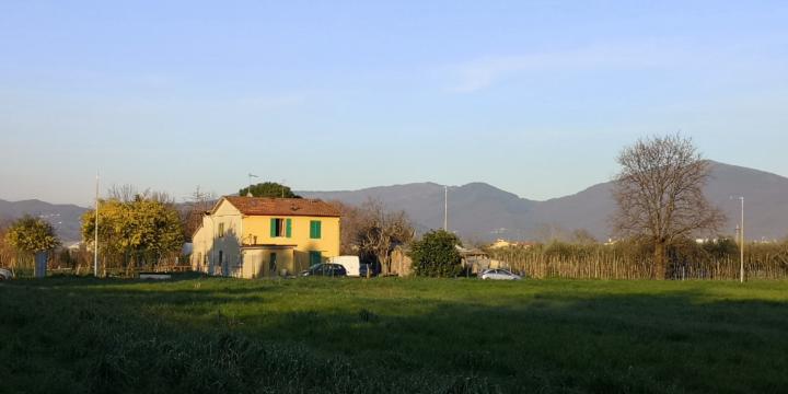 Manuel González Pereiro