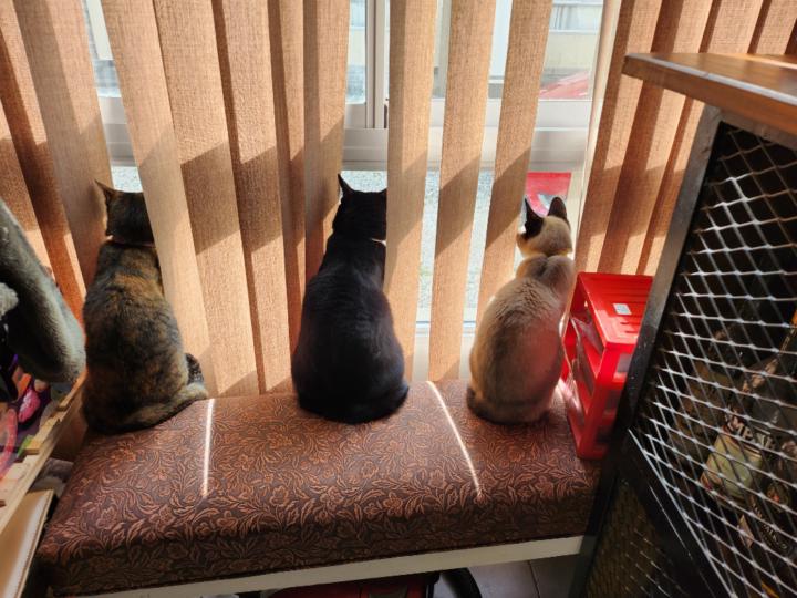 Gilda Di giandomenico