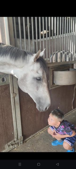 Emily Rawlinson