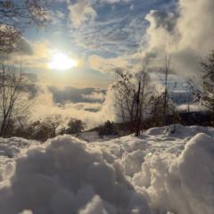 Gema andrea Tejena loor