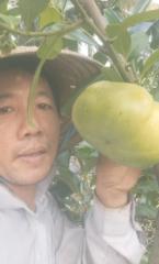 Quang Khang Lê