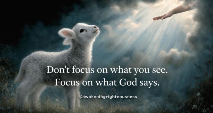 Awakening Righteousness Church