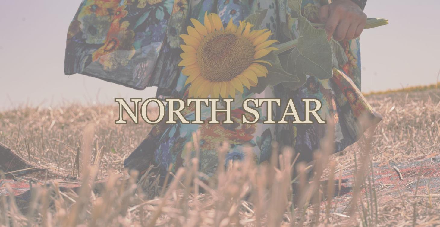 Finding & Anchoring Your North Star