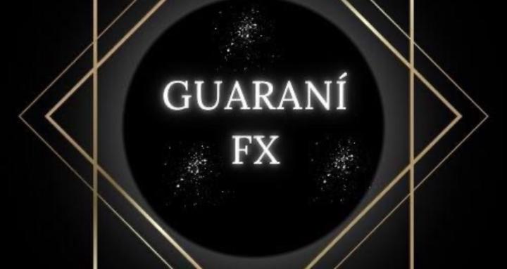 Guarani Academy FX