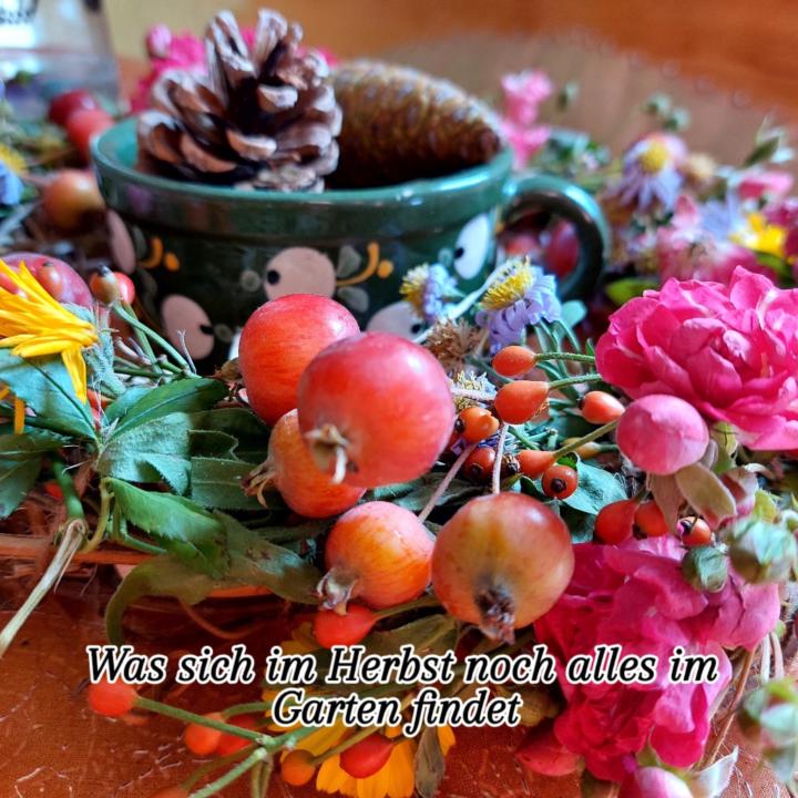 Elke Wallner-Zeinzinger