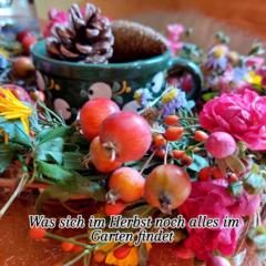 Elke Wallner-Zeinzinger