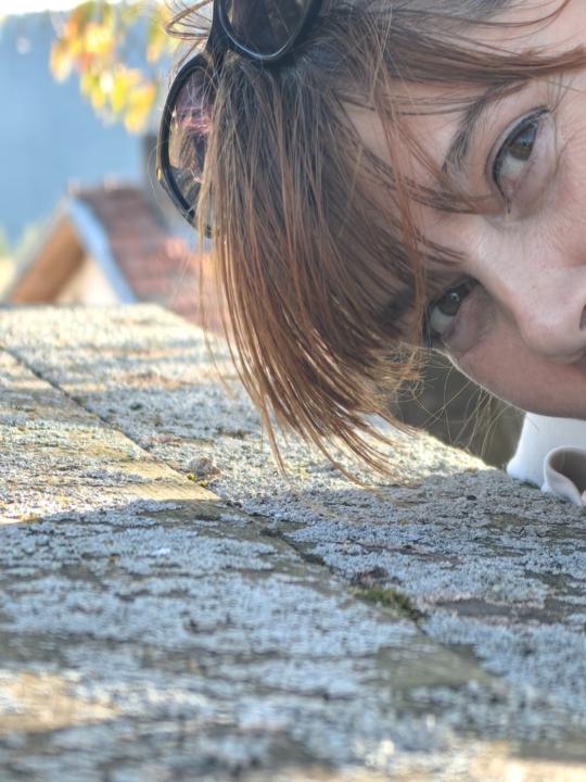 Вера Аламанчева