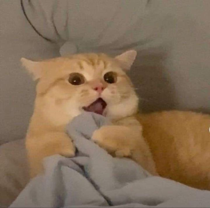 Long Thành