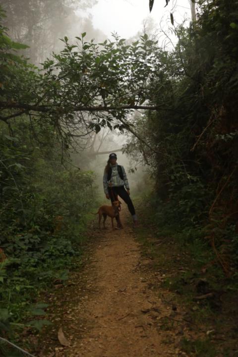 Andrea Cubides torres