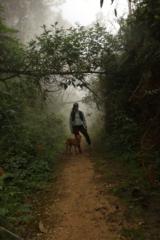 Andrea Cubides torres