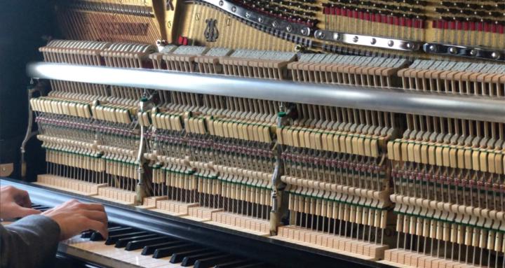 🎹 Free Your Inner Beethoven