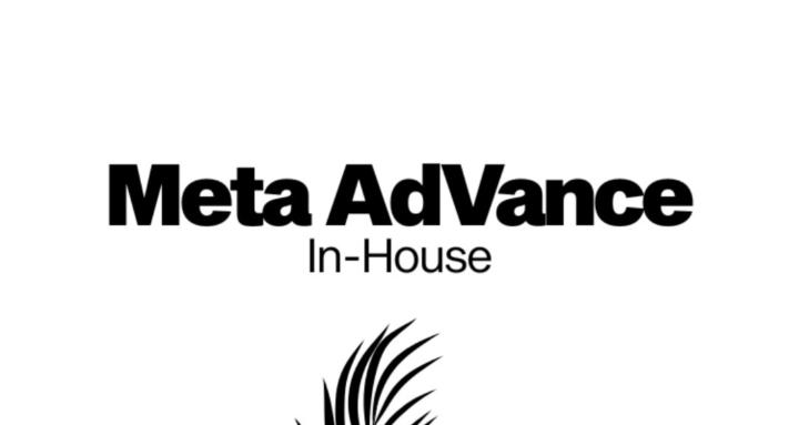 Meta AdVance