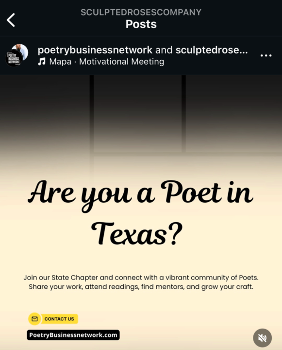 Texas Chapter Meeting 