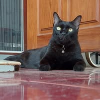 Sohsai Chinsiraprapa