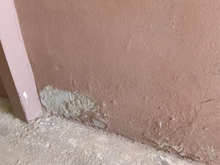 Francisco Simon Osorio