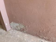 Francisco Simon Osorio