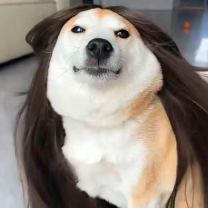 Wang Bill