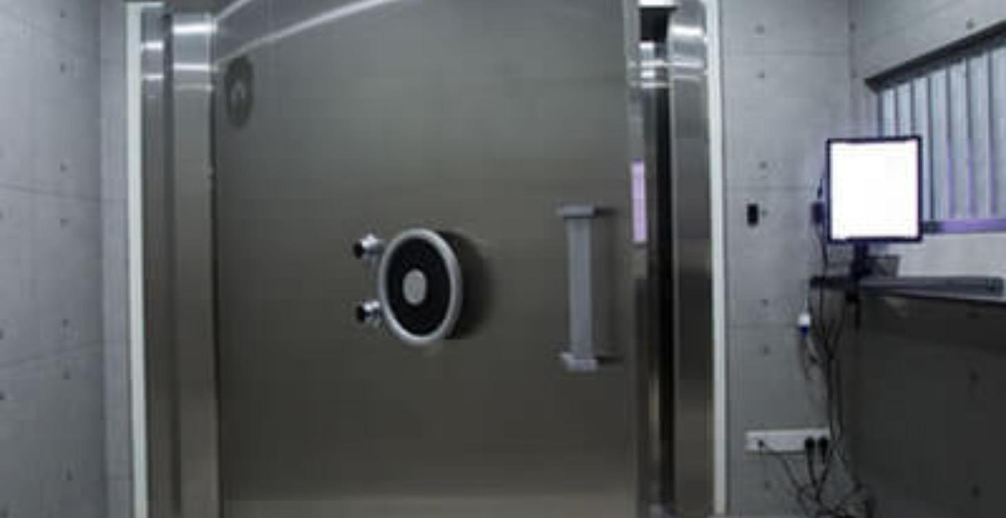 THE VAULT