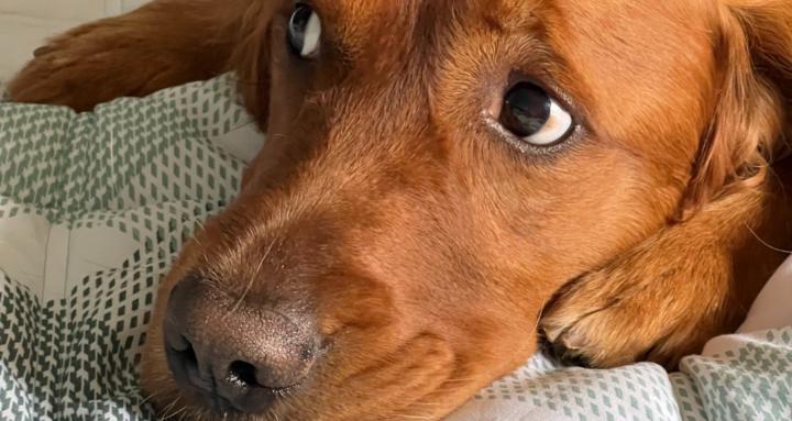 LoveStrong Lifestyle Training