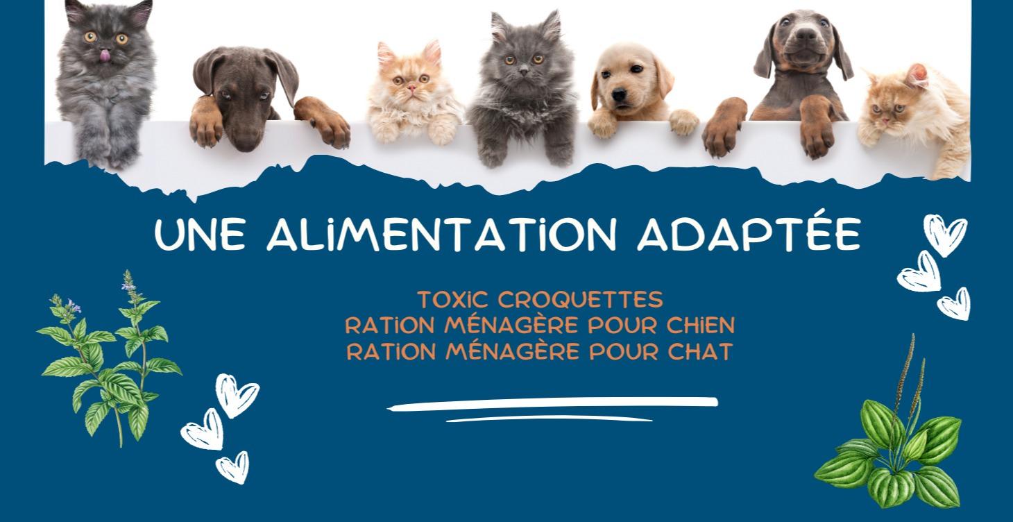 Une alimentation adaptée