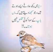 Rabia Umer siddiqui