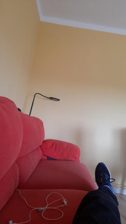 Vicente Navarro López